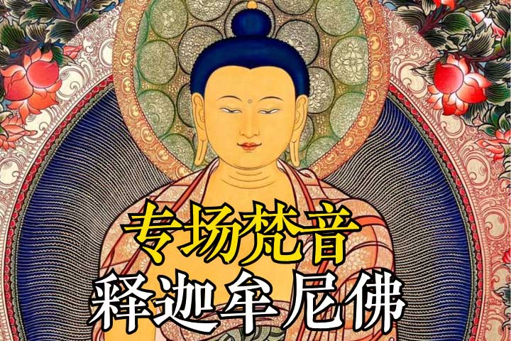 释迦牟尼佛备份 2@2x