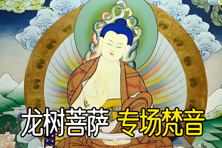 普庵菩萨 梵音备份@2x